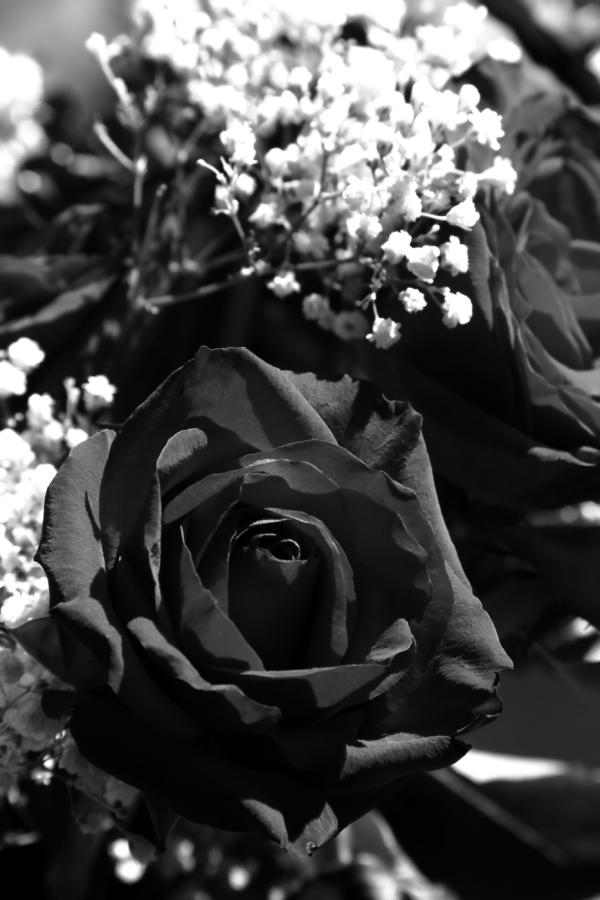 2010 04 24 IMG 9999 12ebw